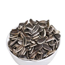 colher sementes de girassol de alta qualidade para venda